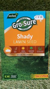 shady lawn seed